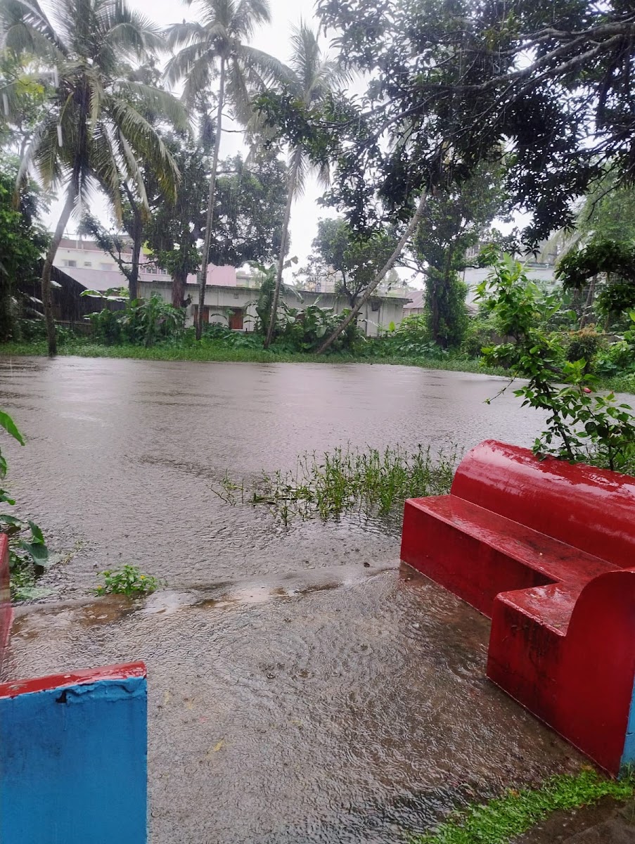 Dostidaar Pukur Bari photo 1