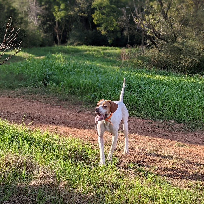 South Fork Hunting Preserve, LLC - Photo 2