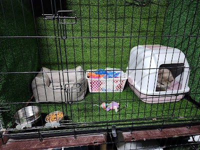 Cat's Feet פנסיון לחיות מחמד ברמת גן