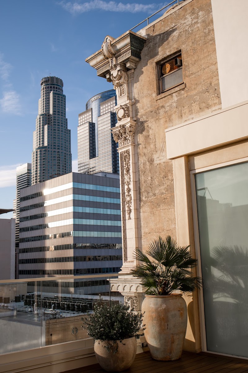 Savanna Rooftop photo 8