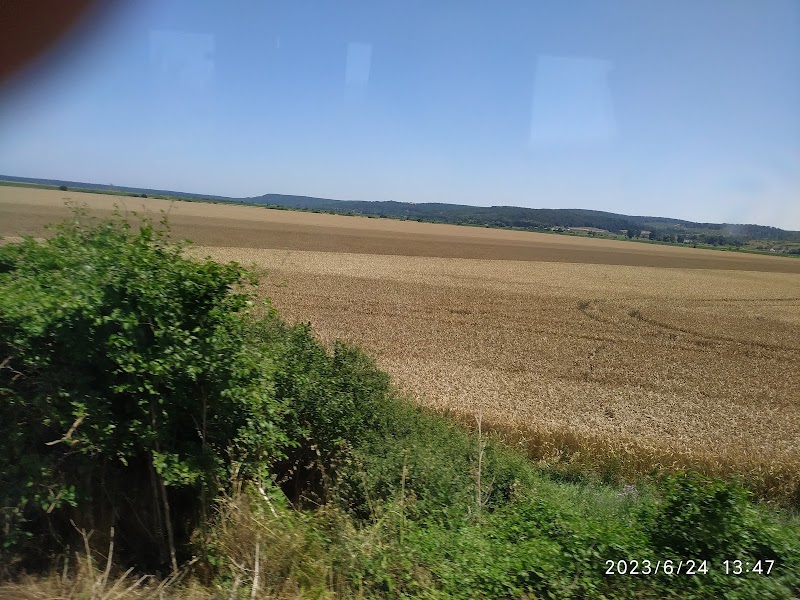 Болгария, Золотые Пески