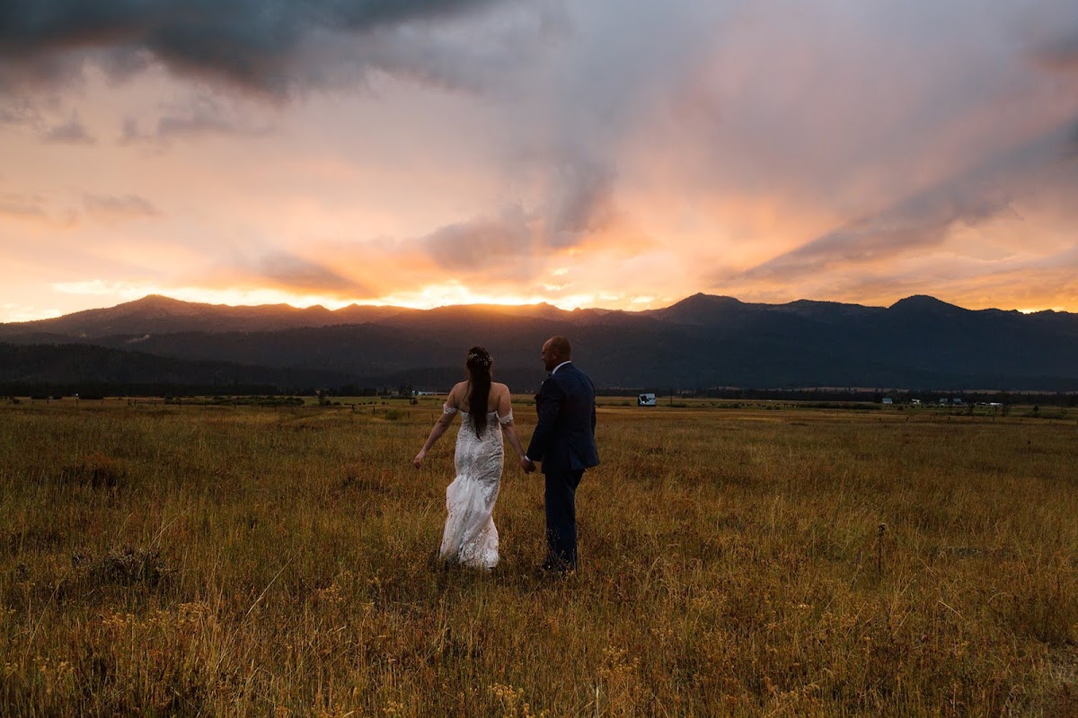 Wild in Love Photo: Google Places image 2
