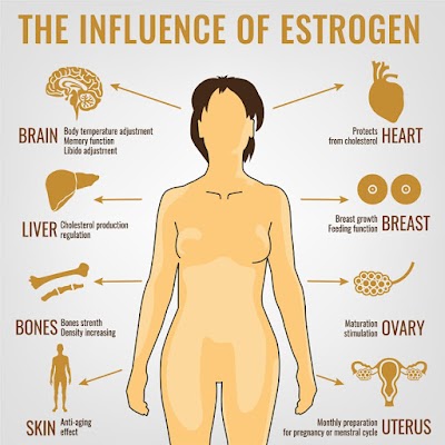 Spartan Medical Associates, PC photo 6