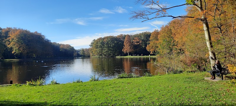 Haagse Bos