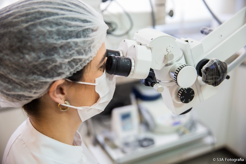 Endodontista Claudia Carreira - Microscópio Clínico - Tratamento de Canal - foto 2