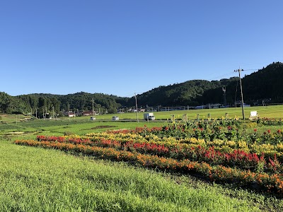 西根田んぼアート（羽生結弦）