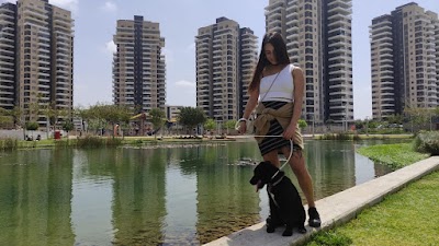 SMART LEADER - אילוף כלבים | מאלף כלבים בחדרה והסביבה |