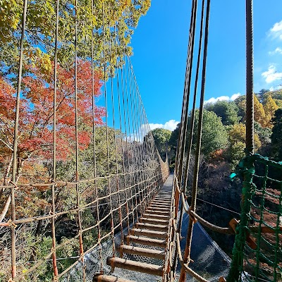 Hiroshima City Forest Park - 1