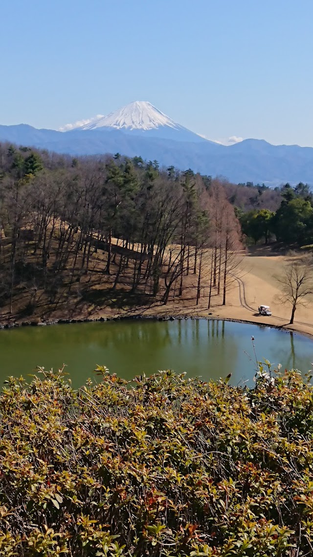 Kai Hills Country Club - Photo 8