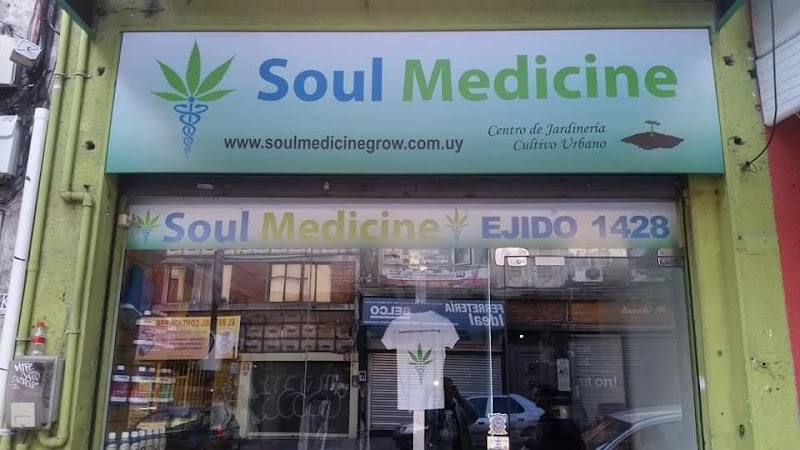 Soul Medicine