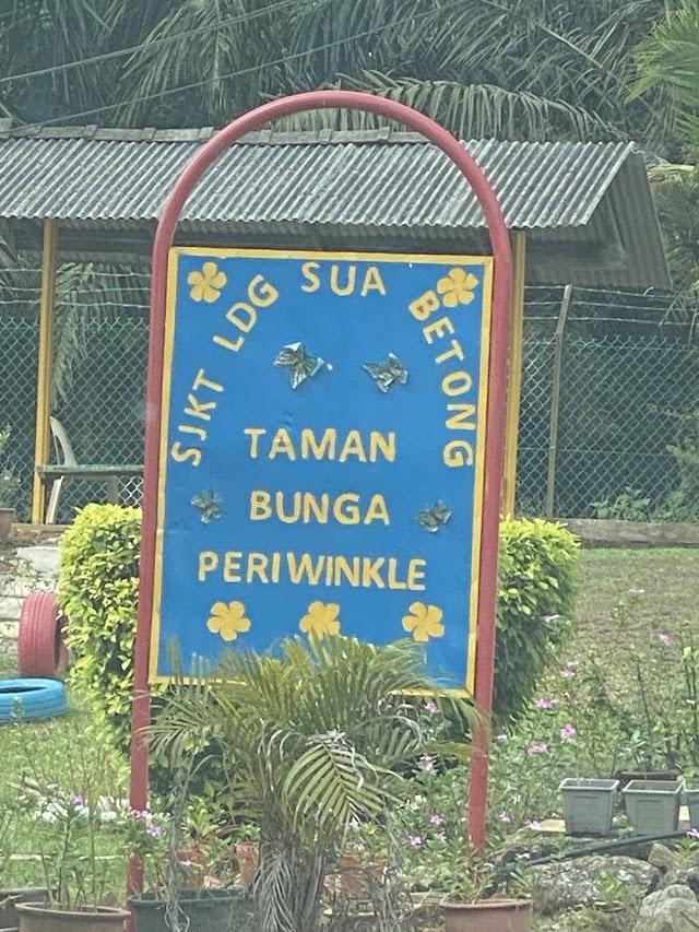 SJK(T) LDG SUA BETONG