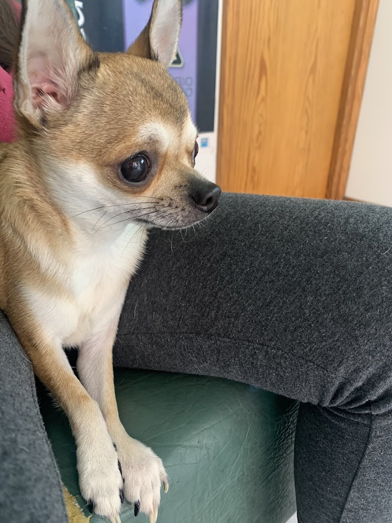 El Parque Centro Clínico Veterinario