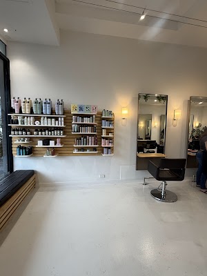 Blondes to Brunettes photo 2