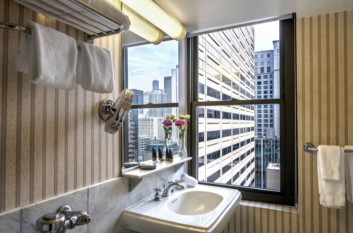 Warwick Allerton Chicago, dog-friendly hotel, photo 2