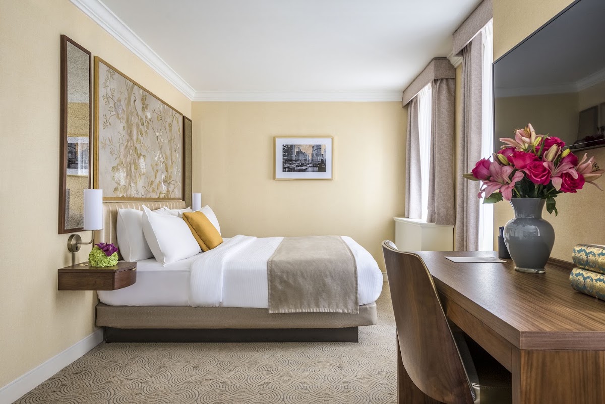 Warwick Allerton Chicago, dog-friendly hotel