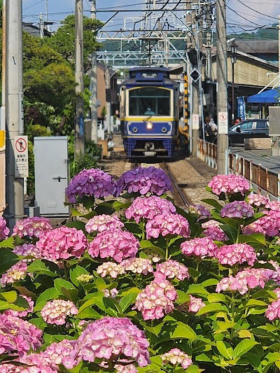 Kamakura Hiking Trails - 1