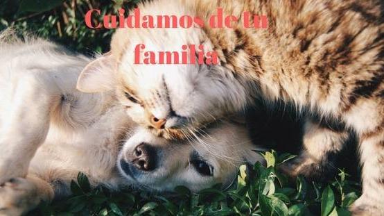 Clínica Veterinaria Finestrat