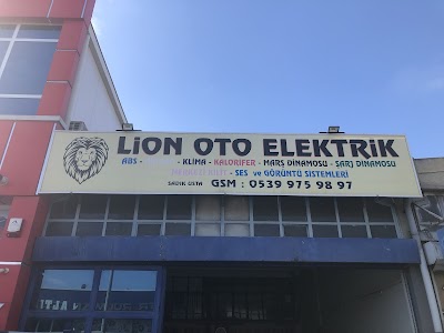 LİON OTO ELEKTRİK - Oto Servisi