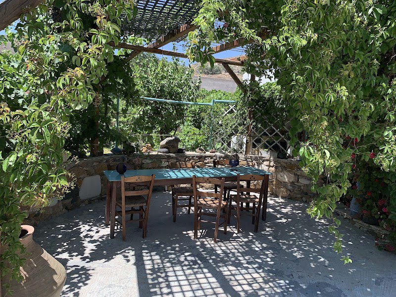 Κτήμα Ρούκουνα (Παπαδιά)