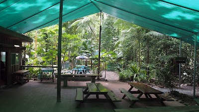Crocodylus Cafe
