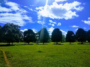 Masaka Liberation Grounds