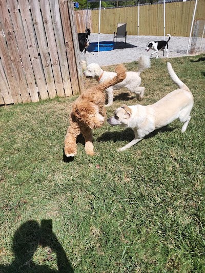 PetQuest Spa & Hotel