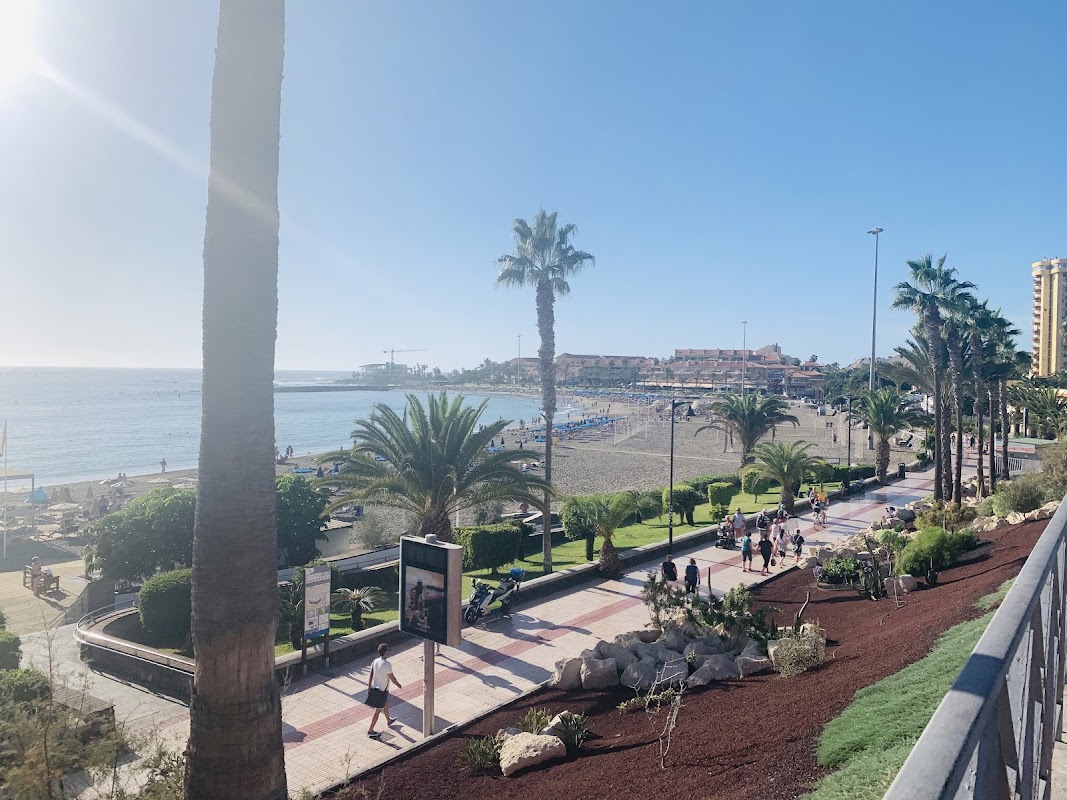 VIP Beach Club in Las Vistas photo 4