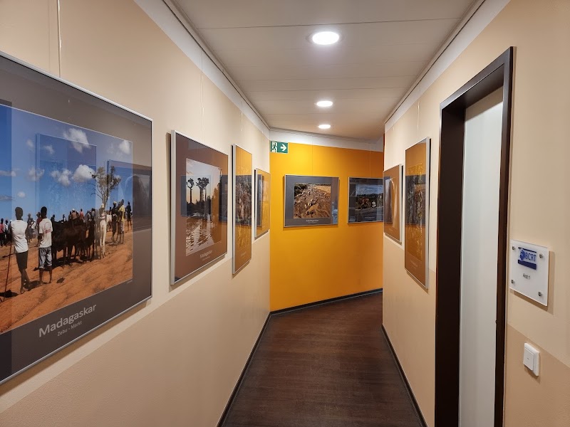 Gallery 4