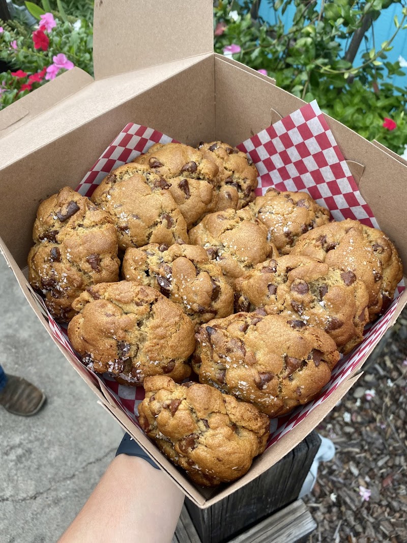 Rockport Coffee Company / Rockport Coffee House & Bakery photo 2