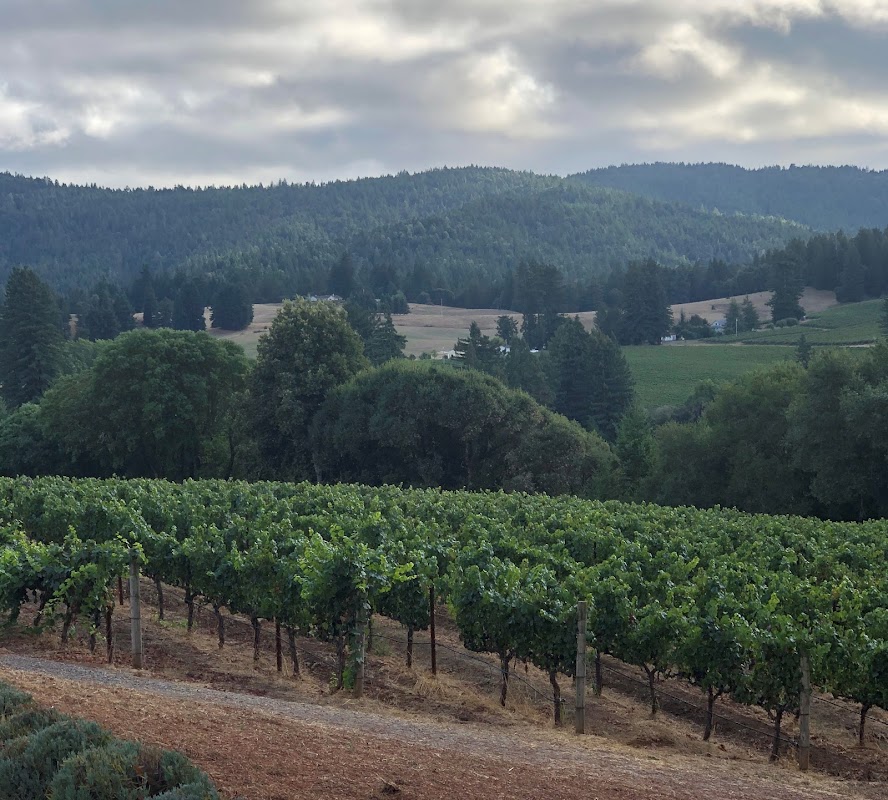 Brashley Vineyards Tasting Room and Winery