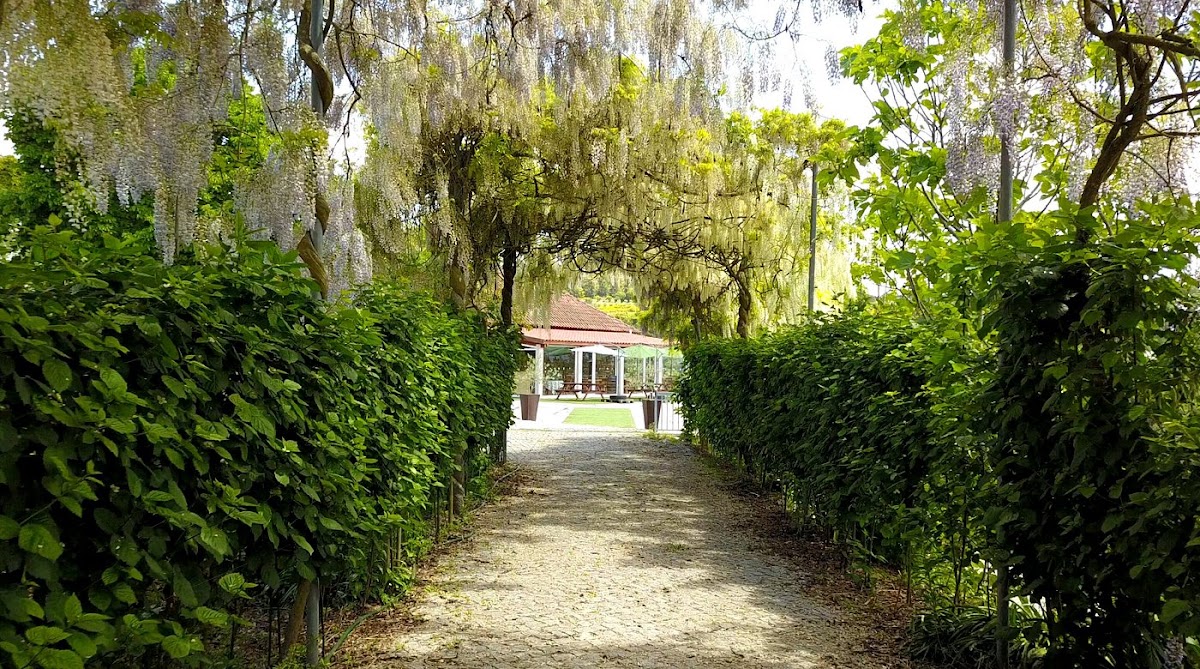 Quinta do Roncão | Vinhos & Azeite Douro | Visitas & Provas