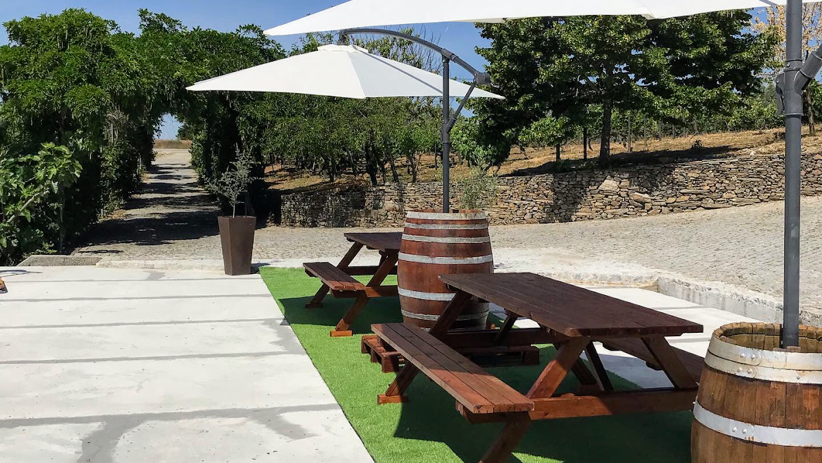 Quinta do Roncão | Vinhos & Azeite Douro | Visitas & Provas