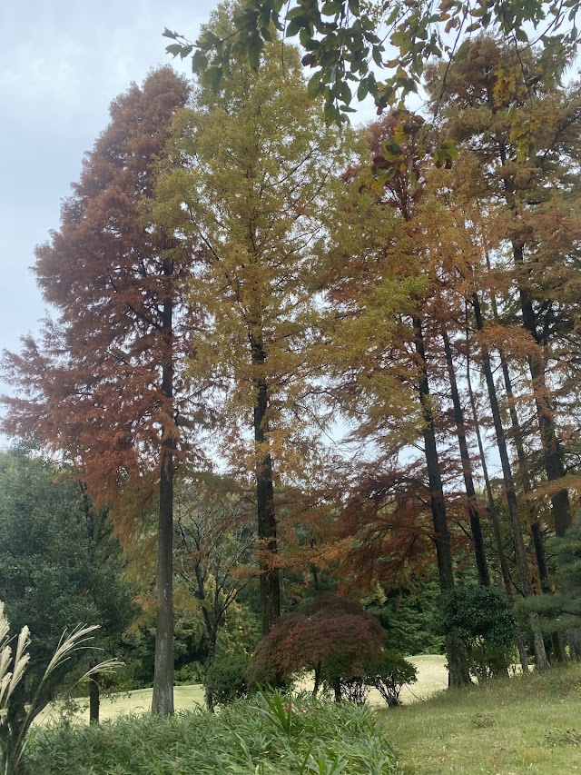 Midorioka Country Club - Photo 8