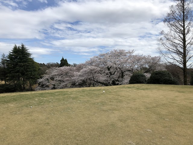 Midorioka Country Club - Photo 3