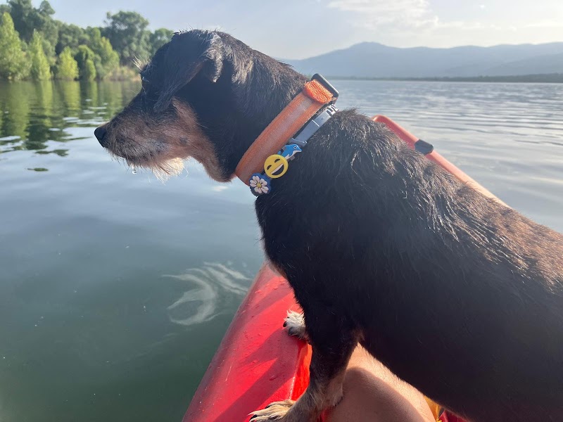 Centro Veterinario San Roque