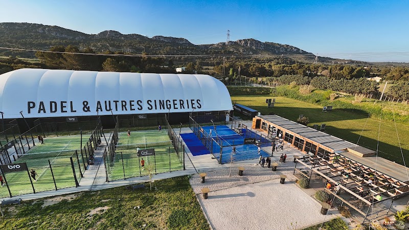 The Monkey Padel, club de padel à Pélissanne