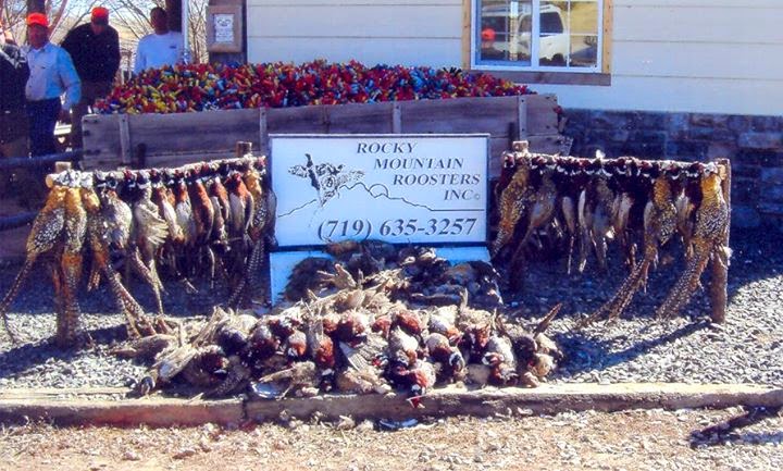 Rocky Mountain Roosters