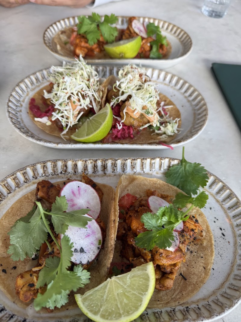 MAYA Mexican photo 4