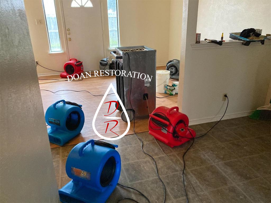 Doan Restoration of Texas — photo