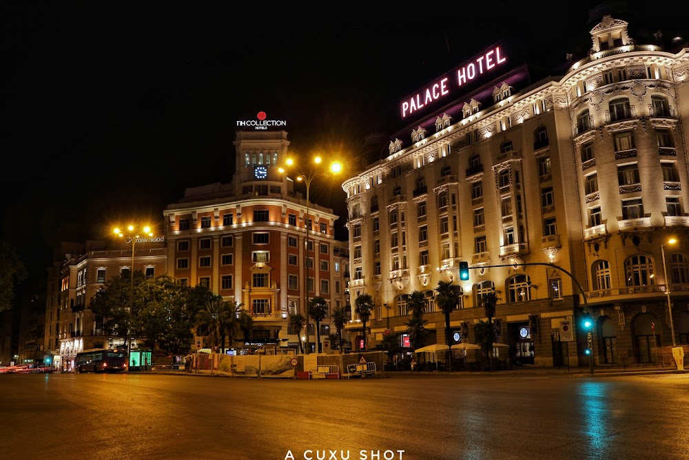 The Palace, a Luxury Collection Hotel, Madrid fotoğraf 1