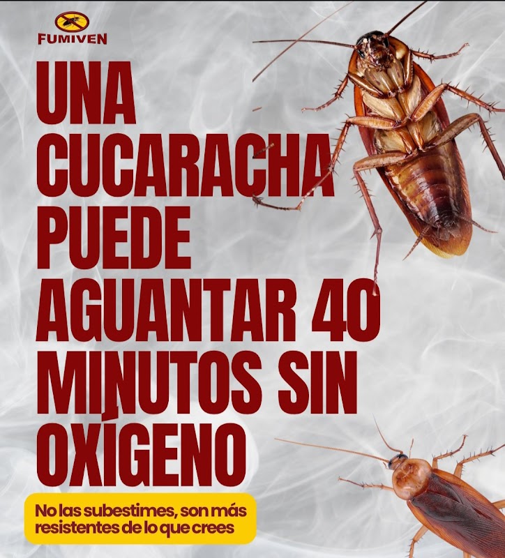 Foto Fumiven Oriente c.a 3