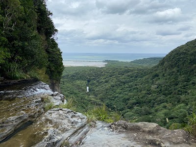 Iriomote Island - 6