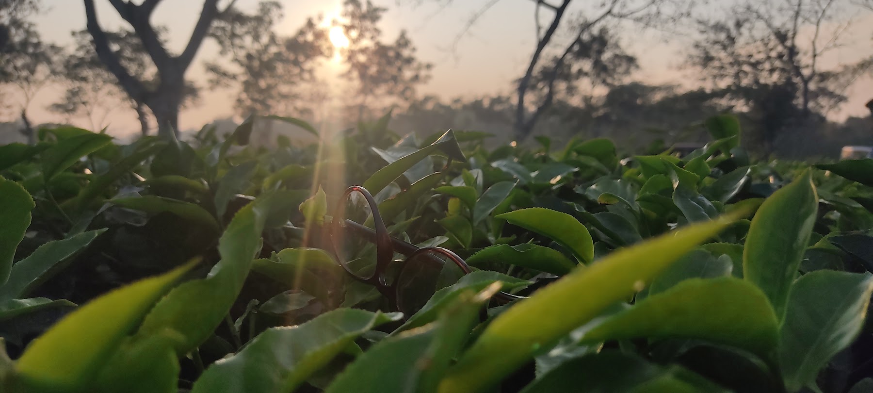 Meghli para Tea Dispensary photo 8