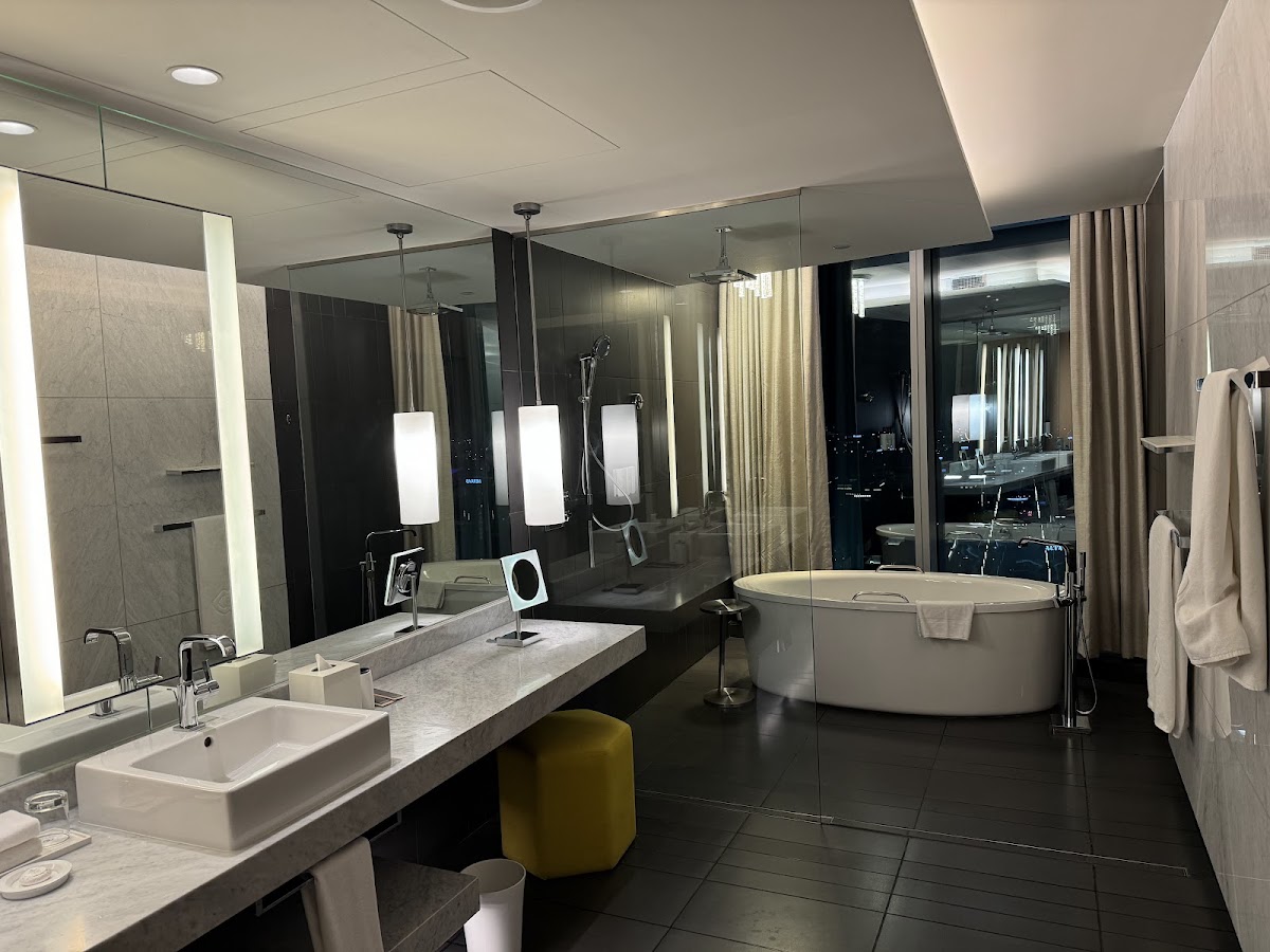Sofitel Dubai Downtown 4