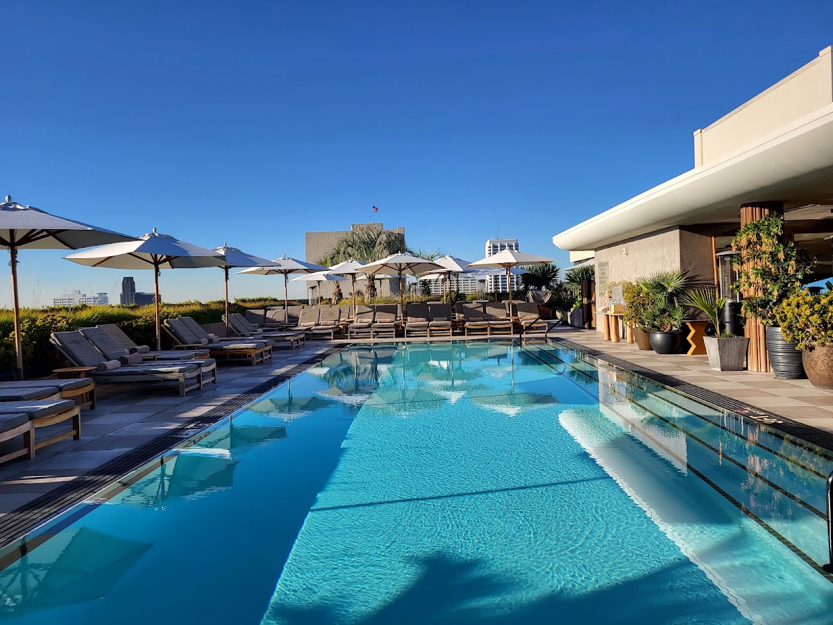 Santa Monica Proper Hotel, dog-friendly hotel, photo 2