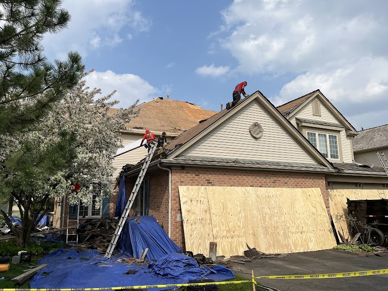 D-Wing Construction photo 4