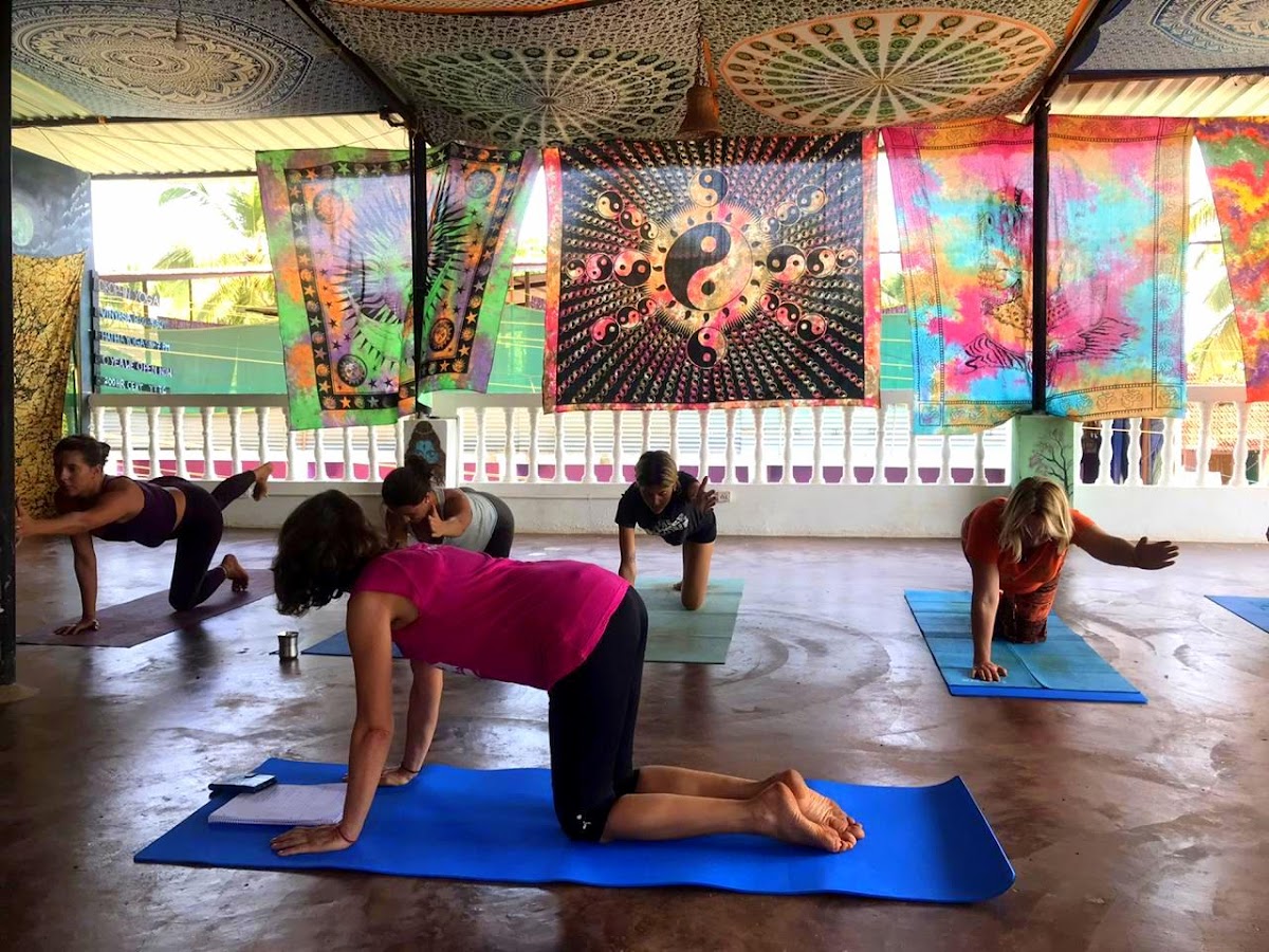 Yoga Teacher Training in Goa - AYM Yoga School — 3