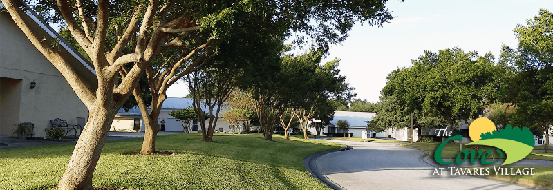 The Cove At Tavares Village