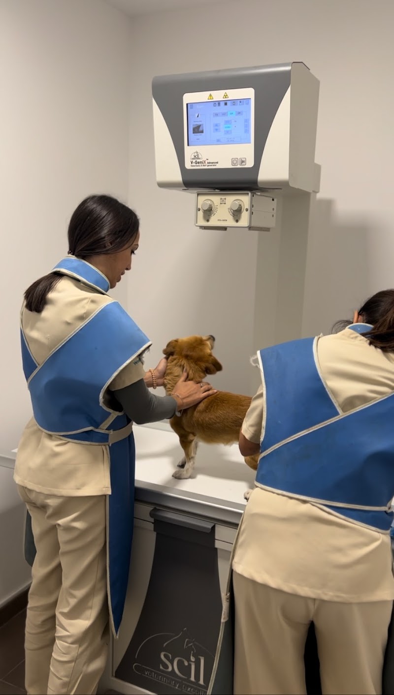 Veterizonia - Clínica Veterinaria