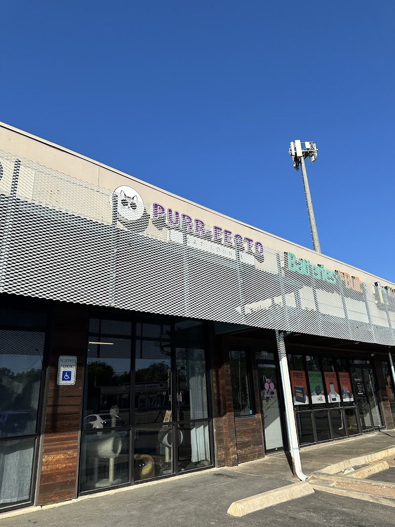 Purrfecto Cat Lounge